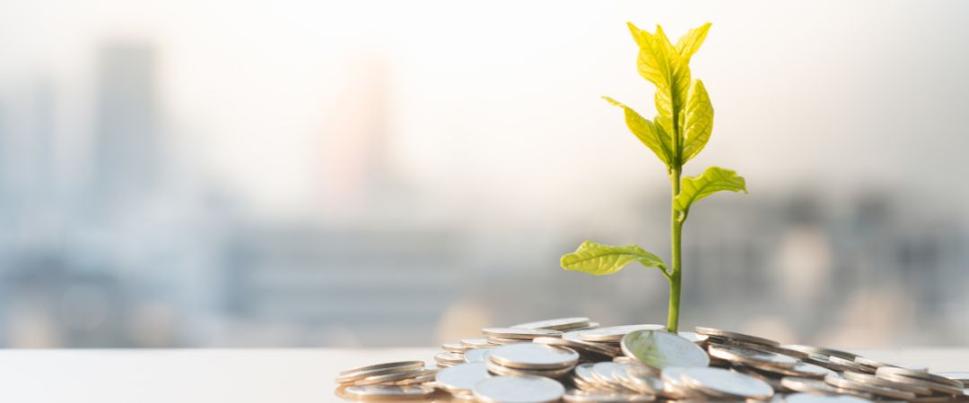 Gestion de Subvenciones (3)